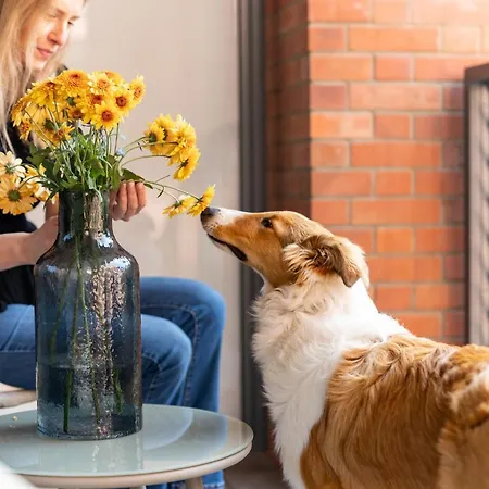 דירה Scala Center With Parking By Lion *