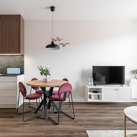 Scala 60d Center With Parking By Lion Apartment Gdansk