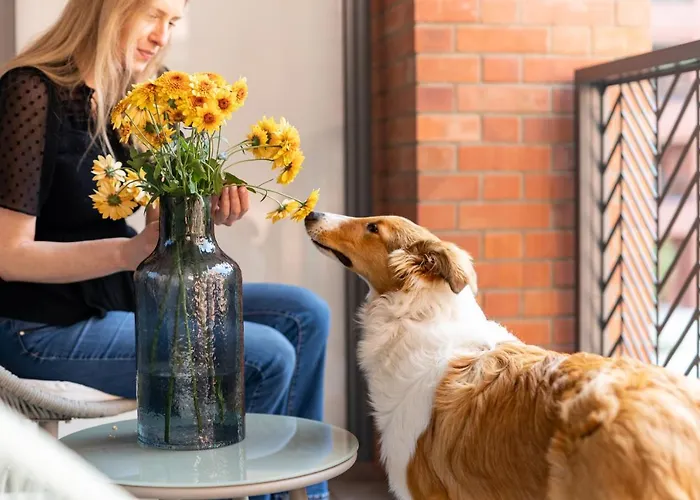 Apartman Scala Center With Parking By Lion *